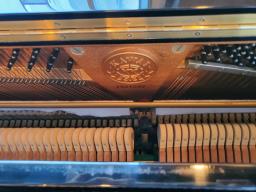 Kawai Ns10 image 2
