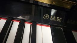 Kawai image 2