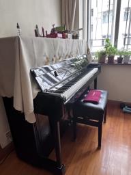 Limited edition Toyama Piano for sale image 5