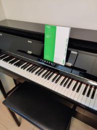 Nu1 Yamaha hybird in good condition image 1
