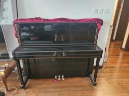 Sauter piano bought in 2008 for 120k image 1