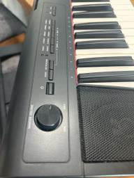 Yamaha Portable Piano image 4