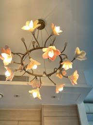 Beautiful Ceiling lamp must go by204 image 3