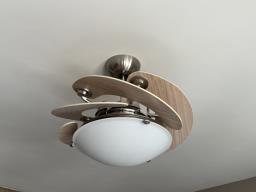 Expandable Ceiling Fan and Light image 1