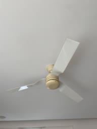 Hunter Douglas Ceiling Fan image 2