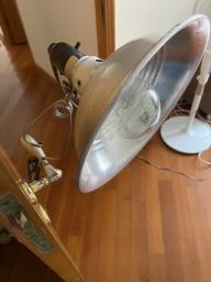 Swivelling  Lamp 200w image 4