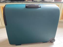 Carlton rigid travel case image 3
