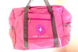 Foldable Travel Bag fits carrier image 1