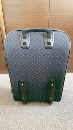 Louise Vuitton Fabric Suitcase image 2