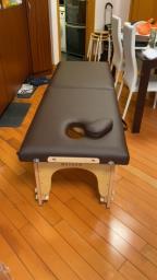 Portable Massage Bed image 1