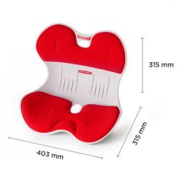 Roichen Korean Posture Correction Seat image 2
