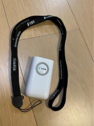 Sunvolt Plasma Virus Cleaner - Portable image 2