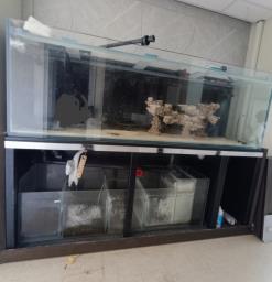 Aquarium Fish tank set image 1