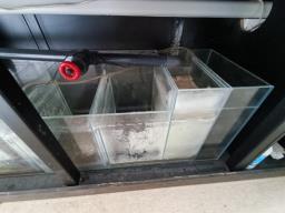 Aquarium Fish tank set image 2