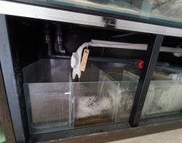 Aquarium Fish tank set image 4