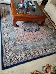 carpet image 2