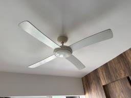 Hunter Pacific Icon Ceiling Fan image 1