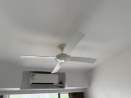 Hunter Pacific Icon Ceiling Fan image 3