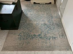 Medium Sized Carpet image 1