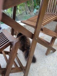 Outdoor Solid Pine Wood Tables x 4 image 4