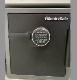 Keep your valuables safe with Sentry Saf image 1