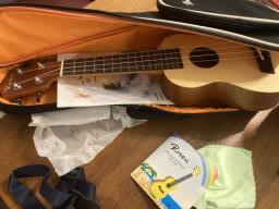 Luson Genuine Ukulele  21 99 new image 2