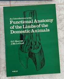 11 Horse Riding Books image 10