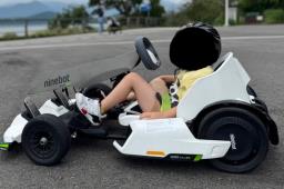 Ninebot Gokart Pro 38kmh image 1
