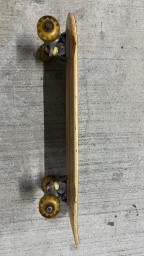 Wjw Skateboard for adults kids pets image 3