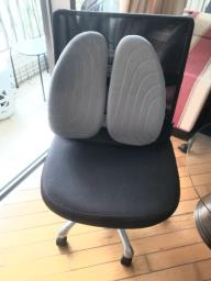 Aurora Swivel Chair And Back Rest image 1