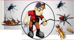 Pest Control and Formaldehyde Removal image 1