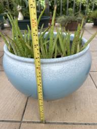 Clay flower pot with soil and plants 1 image 2