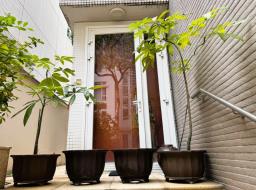 Clay Pots  2 Empty  2 with Umbrella Tr image 1