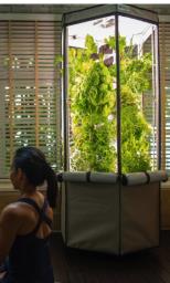 Hydroponic Indoor Garden - Aerospring image 2