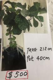 Indoor Tree  Pot image 1