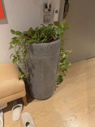 Plant Pots image 1