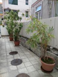 Plants image 9