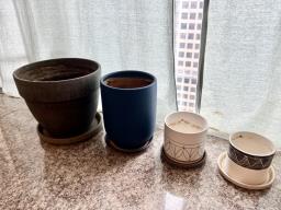 Pots of plants image 1