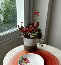 Pretty plant pots x 5 image 3