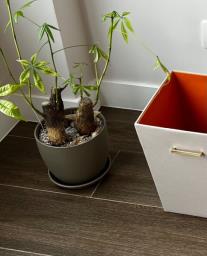 Pretty plant pots x 5 image 4