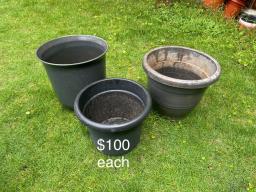 Range of Plant pots free to 400 image 3