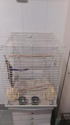 Cage  - Bird or Parrot image 1
