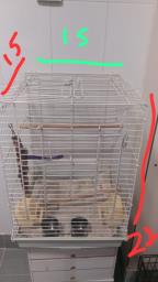 Cage  - Bird or Parrot image 2