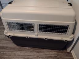Dog Crate image 1