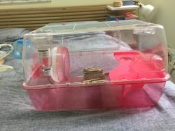 Hamster Cage and Accessories image 2