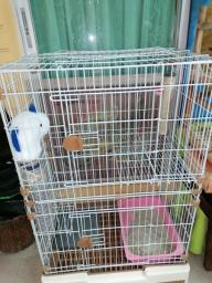 Pet cage  - double deck 200 Only image 1