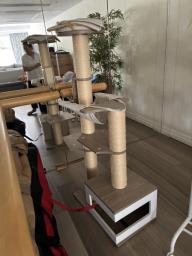 Tall cat climbing  frame image 1
