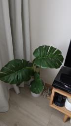 Painting   Coffee table artificial pla image 1