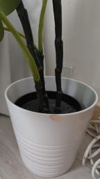 Painting   Coffee table artificial pla image 4