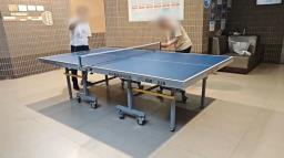 Table Tennis Table  Hk 1080 image 1